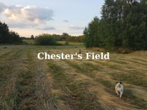 Chester's Field